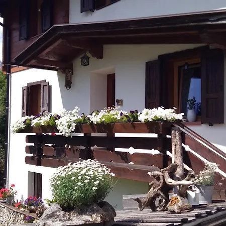 Piller Roner Paola *